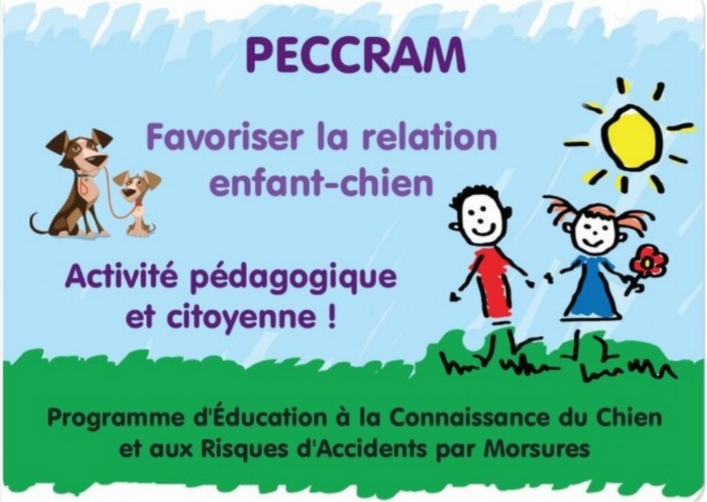 PECCRAM
Favoriser la relation enfant-chien